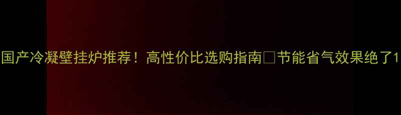 国产冷凝壁挂炉推荐高性价比选购指南节能省气效果绝了