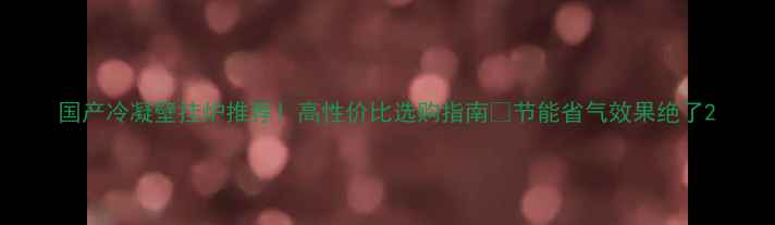 图片 国产冷凝壁挂炉推荐！高性价比选购指南🔥节能省气效果绝了2