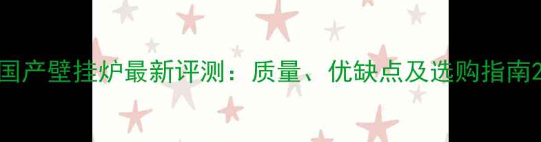 国产壁挂炉最新评测质量优缺点及选购指南