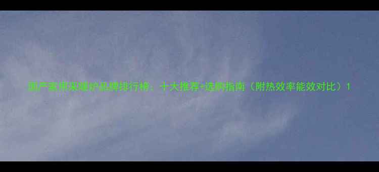 图片 国产家用采暖炉品牌排行榜：十大推荐+选购指南（附热效率能效对比）1