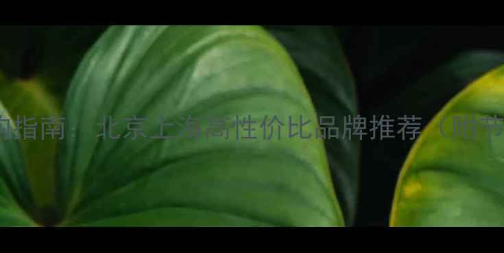 图片 国内壁挂炉选购指南：北京上海高性价比品牌推荐（附节能环保对比）2