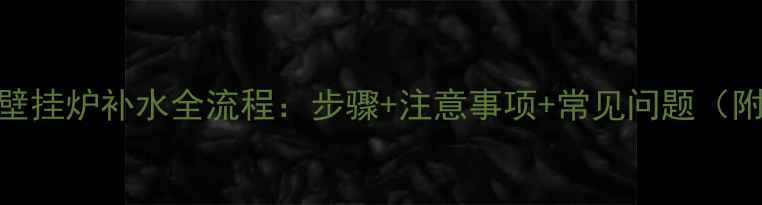 国森壁挂炉补水全流程步骤注意事项常见问题附图