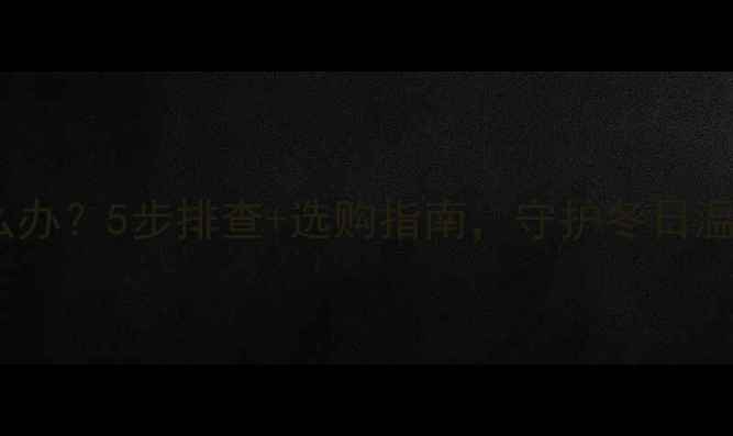 国森燃气壁挂炉漏水怎么办5步排查选购指南守护冬日温暖附安全自检视频