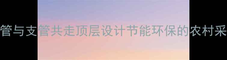 土暖气主管与支管共走顶层设计节能环保的农村采暖新方案
