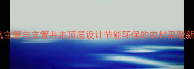 图片 土暖气主管与支管共走顶层设计节能环保的农村采暖新方案1