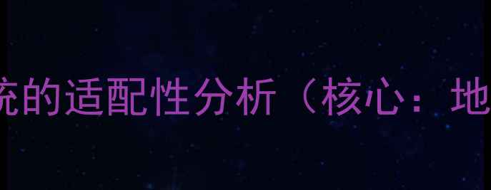 地垫宝与地暖系统的适配性分析核心地垫宝地暖温度