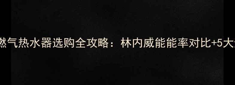 地暖专用燃气热水器选购全攻略林内威能能率对比5大避坑指南