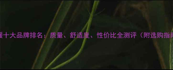 图片 地暖十大品牌排名：质量、舒适度、性价比全测评（附选购指南）