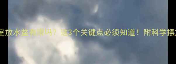 地暖卧室放水盆有用吗这3个关键点必须知道附科学摆放指南