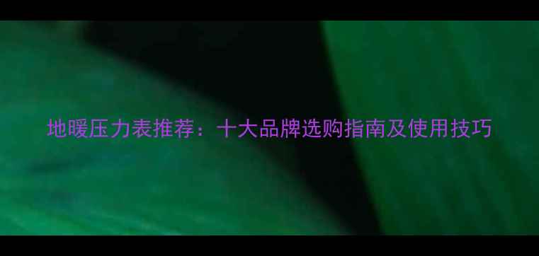 图片 地暖压力表推荐：十大品牌选购指南及使用技巧