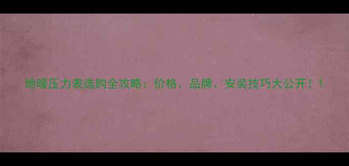 地暖压力表选购全攻略价格品牌安装技巧大公开