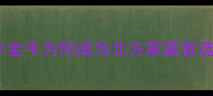 图片 地暖品牌红黑榜：日丰金牛为何成为北方家庭首选？深度五大核心优势2