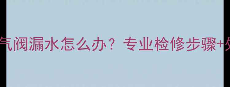 图片 地暖回水放气阀漏水怎么办？专业检修步骤+处理方法全1
