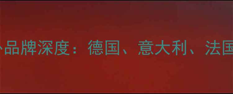 图片 地暖壁挂炉十大国外品牌深度：德国、意大利、法国系产品选购全指南2