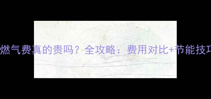 图片 地暖安装后燃气费真的贵吗？全攻略：费用对比+节能技巧+省钱方案