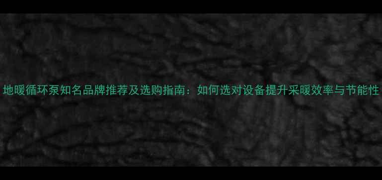 图片 地暖循环泵知名品牌推荐及选购指南：如何选对设备提升采暖效率与节能性