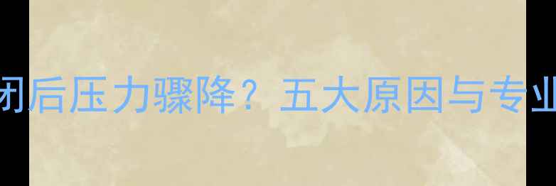 图片 地暖截门关闭后压力骤降？五大原因与专业维修方案全