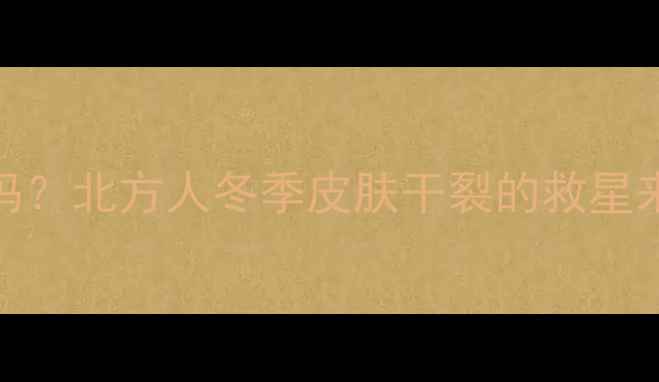 图片 地暖房必须加湿器吗？北方人冬季皮肤干裂的救星来了！附选购指南🔥