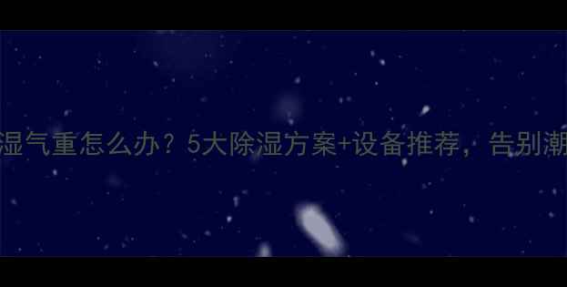图片 地暖房湿气重怎么办？5大除湿方案+设备推荐，告别潮湿烦恼