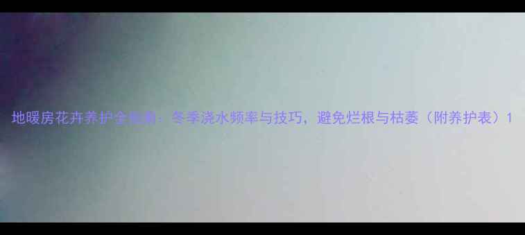 地暖房花卉养护全指南冬季浇水频率与技巧避免烂根与枯萎附养护表