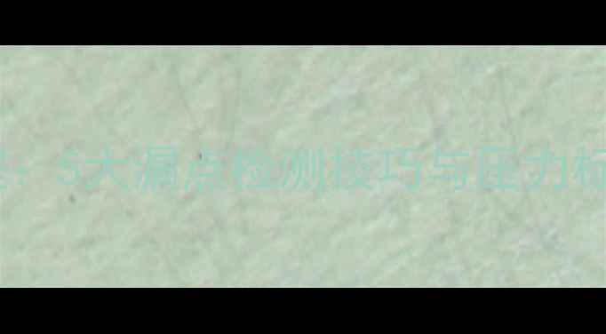 图片 地暖打压测试全流程：5大漏点检测技巧与压力标准（附操作指南）2