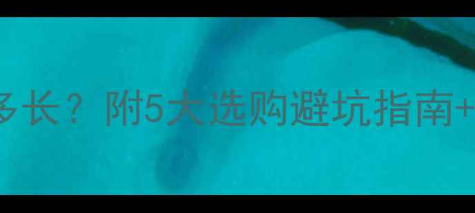 图片 地暖泵质保期有多长？附5大选购避坑指南+质保常见问题全2