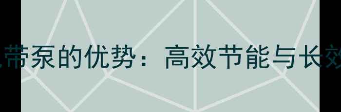 地暖清洗机带泵的优势高效节能与长效养护指南