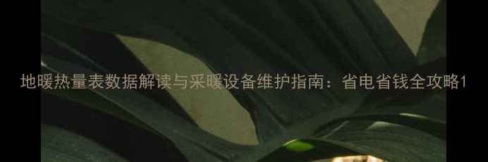 图片 地暖热量表数据解读与采暖设备维护指南：省电省钱全攻略1