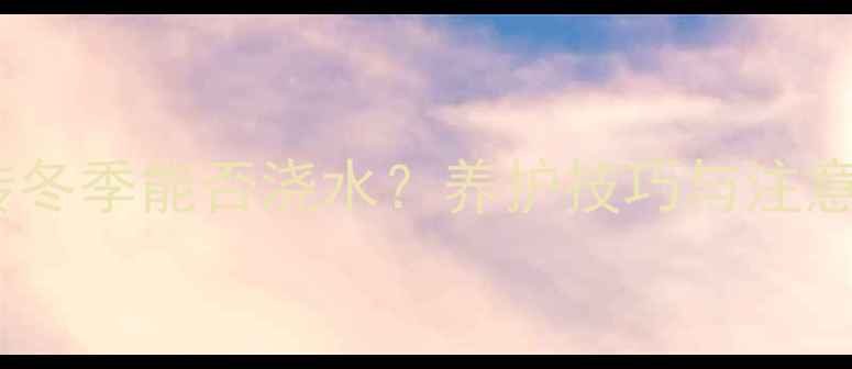 图片 地暖瓷砖冬季能否浇水？养护技巧与注意事项全1