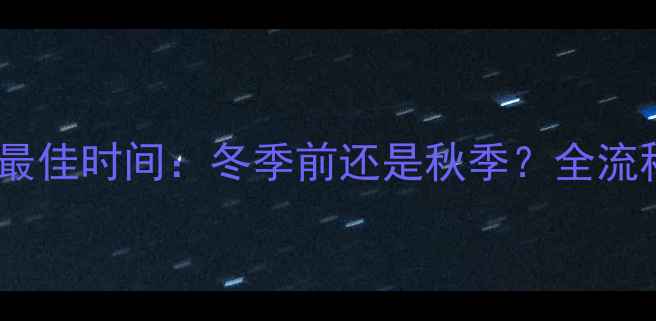 图片 地暖管道安装最佳时间：冬季前还是秋季？全流程与注意事项1