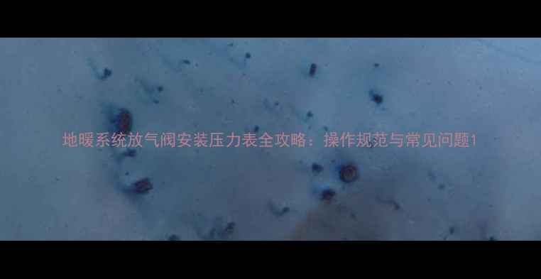 图片 地暖系统放气阀安装压力表全攻略：操作规范与常见问题1