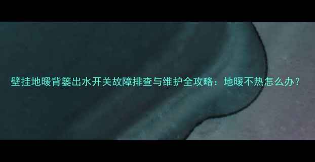 壁挂地暖背篓出水开关故障排查与维护全攻略地暖不热怎么办