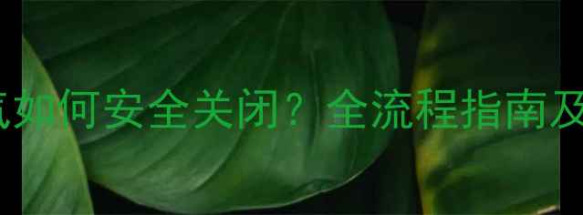 图片 壁挂天然气暖气如何安全关闭？全流程指南及节能维护技巧1
