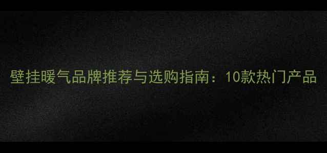 图片 壁挂暖气品牌推荐与选购指南：10款热门产品