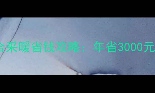 图片 壁挂炉+暖气片组合采暖省钱攻略：年省3000元全（附选型指南）