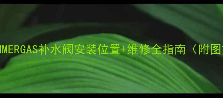 壁挂炉IMMERGAS补水阀安装位置维修全指南附图文步骤