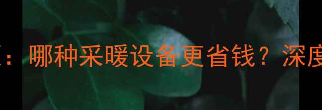 图片 壁挂炉VS空气能热泵：哪种采暖设备更省钱？深度成本与节能全流程1