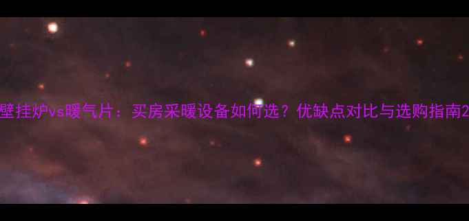 图片 壁挂炉vs暖气片：买房采暖设备如何选？优缺点对比与选购指南2