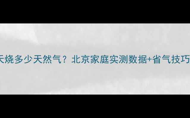 图片 壁挂炉一天烧多少天然气？北京家庭实测数据+省气技巧大公开！2
