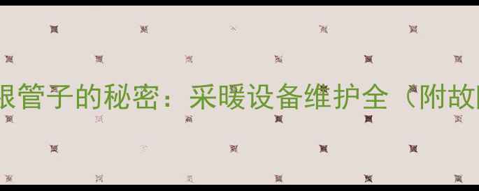 壁挂炉下方五根管子的秘密采暖设备维护全附故障排查指南