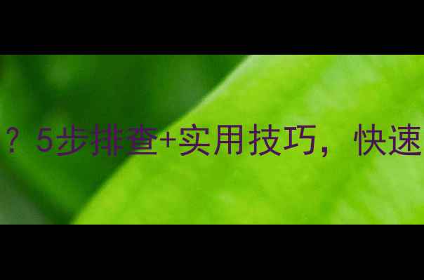 壁挂炉不启动没反应5步排查实用技巧快速解决采暖设备故障