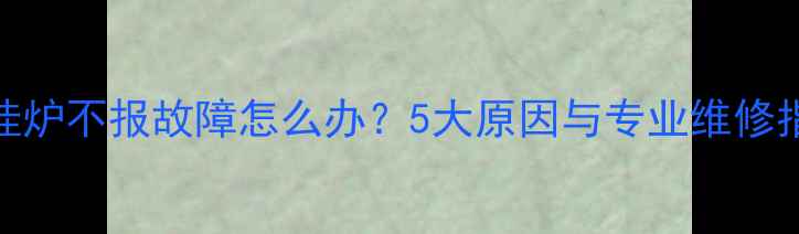 图片 壁挂炉不报故障怎么办？5大原因与专业维修指南