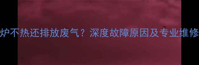 壁挂炉不热还排放废气深度故障原因及专业维修指南