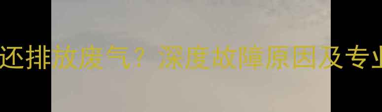 图片 壁挂炉不热还排放废气？深度故障原因及专业维修指南2