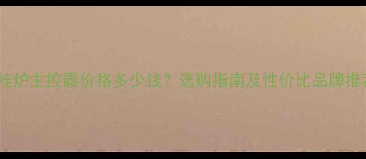 图片 壁挂炉主控器价格多少钱？选购指南及性价比品牌推荐2