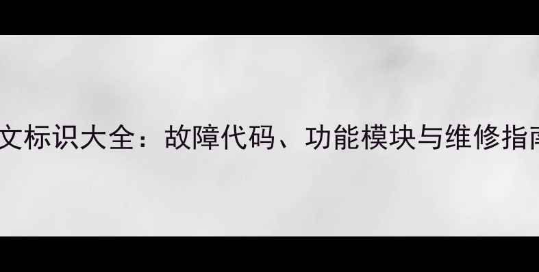 壁挂炉主板英文标识大全故障代码功能模块与维修指南含图解