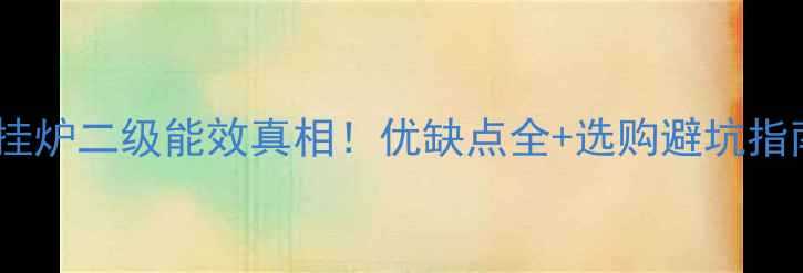 图片 壁挂炉二级能效真相！优缺点全+选购避坑指南2