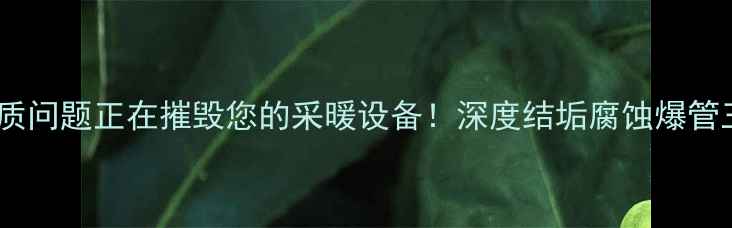 图片 壁挂炉使用中这些水质问题正在摧毁您的采暖设备！深度结垢腐蚀爆管三大隐患及解决方案1