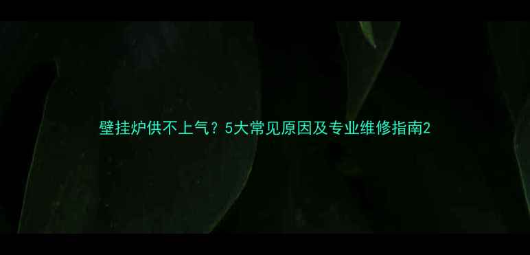 图片 壁挂炉供不上气？5大常见原因及专业维修指南2
