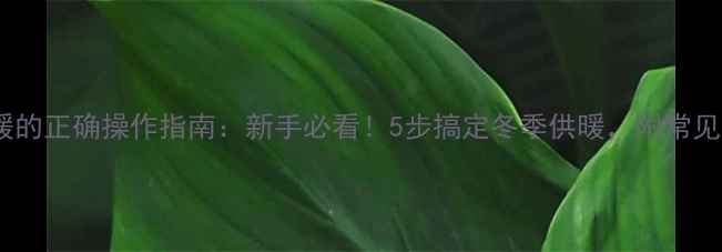 图片 壁挂炉供暖的正确操作指南：新手必看！5步搞定冬季供暖，附常见问题解答1